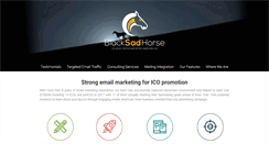 Desktop Screenshot of blacksadhorse.com